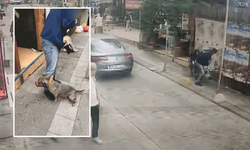 İstanbul'da köpek saldırısı kameralara yansıdı