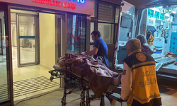 Kastamonu’da çalıştığı kafenin sahibine saldırmıştı: Serbest bırakıldı