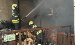 Manisa'da yanmak üzere olan canların imdadına itfaiye yetişti