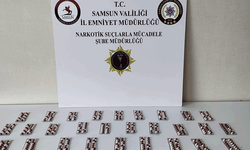 Samsun'da narkotik uygulaması: 20 kişi yakalandı