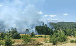Adana'da çıkan orman yangınına havadan ve karadan müdahale
