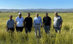 Çakırözer’den Eskişehir’de buğday alım fiyatı için çağrı
