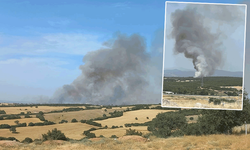 Çanakkale'de orman yangını