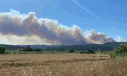 Çanakkale'de orman yangını: Anafartalar köyü boşaltıldı