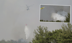 Çanakkale'deki orman yangını için ekipler alarma geçti