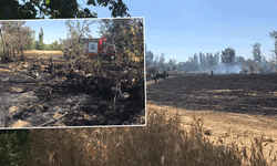 Eskişehir'de yangın: 70 dönüm buğday ekili alan kül oldu