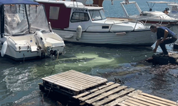 İstanbul'da park etmeye çalışırken araçla denize düştü