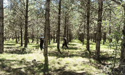 Kütahya'da ormanlık alanlar kontrol edildi