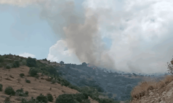 Afyon'da orman yangını paniği