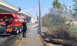 Antalya'da sigara izmaritinden çıkan yangın ormana sıçradı