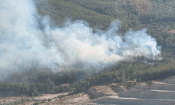 Muğla'da çıkan orman yangını paniğe neden oldu