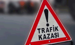 Afyon'da trafik kazası: 2 yaralı, 1 hayvan telef oldu