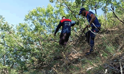 Bitlis'te 4 gündür kayıptı: Bulundu