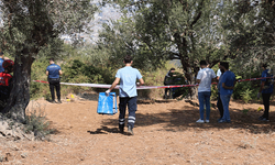 İzmir'de aile katliamı: Bir baba 3 evladını öldürdü