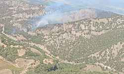 Manisa’da orman yangınına müdahale devam ediyor