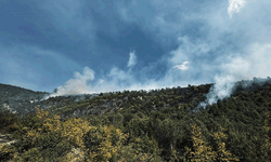 Tokat'ta orman yangını