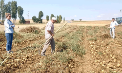 Afyon'da çiftçiler üretim planlaması konularında bilgilendirildi