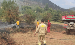 Bilecik'te Göksu Nehri kenarında yangın paniği