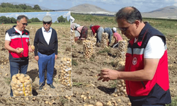 Kütahya'da patates ekiliş ve hasat kontrolü