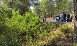 Muğla'da ormanda kundağa sarılı bebek bulundu