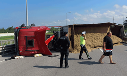 Samsun'da aracıyla seyir halindeyken arı sokan sürücü kaza yaptı