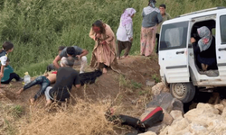 Şanlıurfa'da can pazarı: 1 ölü, 6 yaralı