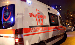 Afyon'da otomobil şarampole devrildi: 1 yaralı