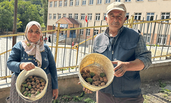 Hakkari'de okula giden öğrencilere taze ceviz ikram ettiler