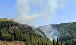 Hatay’da orman yangını