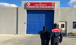 Afyon'da jandarmadan operasyon: Dolandırıcılıktan aranıyordu yakalandı