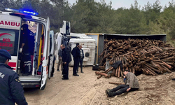 Bilecik'te seyir halindeki kamyon devrildi: 3 yaralı