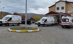 Bitlis'te kamyonet şarampole yuvarlandı: 5 yaralı