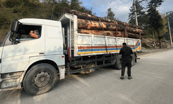 Bolu'da sıkı denetim: Kaçak odun taşıyan kamyonlar yakalandı