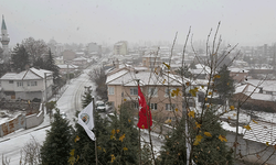 Eskişehir'de yılın ilk karı yağdı: Yollar beyaza büründü