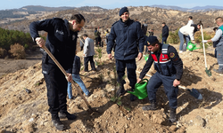 Kütahya'da 120 karaçam fidanı toprakla buluştu