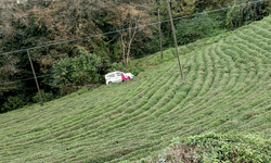 Rize'de bir otomobil hakimiyetini kaybederek çay bahçesine uçtu