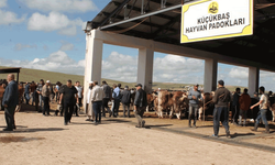 Bayburt'ta hayvan pazarlarına şap karantinası