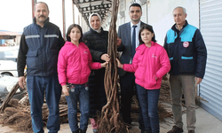 Bilecik'te çiftçilere ceviz ve badem fidanı dağıtıldı