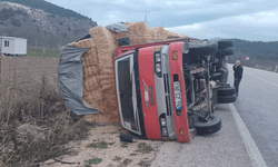 Bilecik'te saman yüklü kamyon yol kenarına devrildi, samanlar savruldu