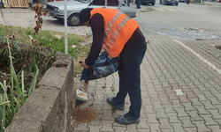 Kütahya'da sokak hayvanları için mama desteği