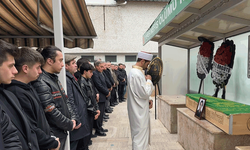 Ordu'da karşıdan karşıya geçmek isteyen gence  bir otomobil çarptı: Hayatını kaybetti