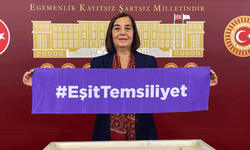 Süllü: Siyasi partiler yasası değişmeli