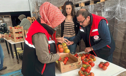 Afyon domatesi 23 ülkeye ihraç edildi