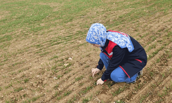 Afyonkarahisar'da tarım arazilerinde detaylı kontroller gerçekleştirildi