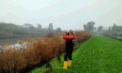 Aydın'da Menderes Nehri'ne düşen şahsı bulmak için arama kurtarma çalışmaları sürüyor