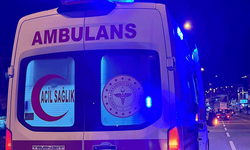 Bilecik'te bir otomobil kontrolden çıkarak bariyerlere çarptı: Sürücüsü yaralandı