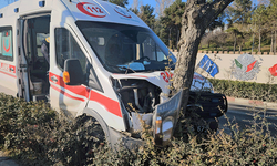 Bilecik'te hasta taşıyan ambulans kaza yaptı