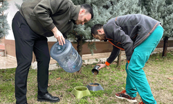 Bilecik'te sokak hayvanları için anlamlı uygulama