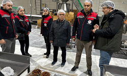 Afyon'da hurma üretim tesisleri denetlendi