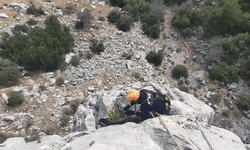 Burdur'da AFAD ekipleri dağda mahsur kalan keçileri kurtardı